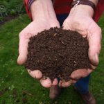 worm composting